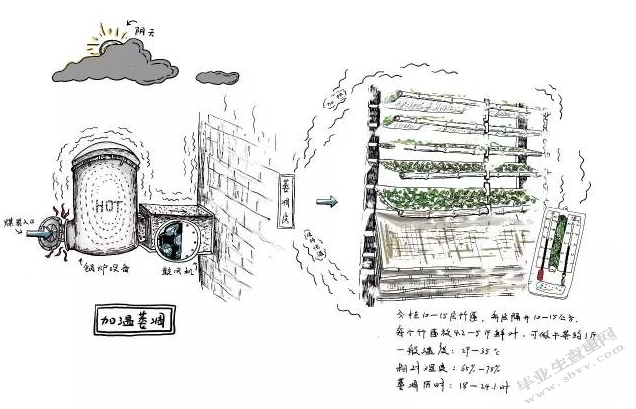 中小型白茶企业精益生产应用研究