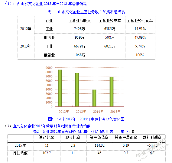 山西水文化公司财务风险分析