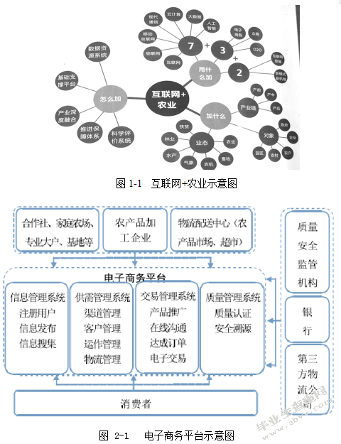 新疆农村电子商务发展调查研究