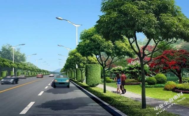 《城市道路绿化养护管理现状与评价》文献综述