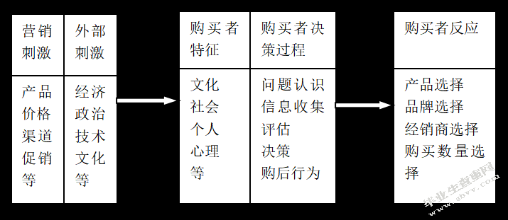 消费者购买全新自用汽车行为研究