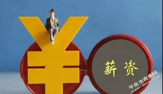 W公 司 薪酬激励问题的初探