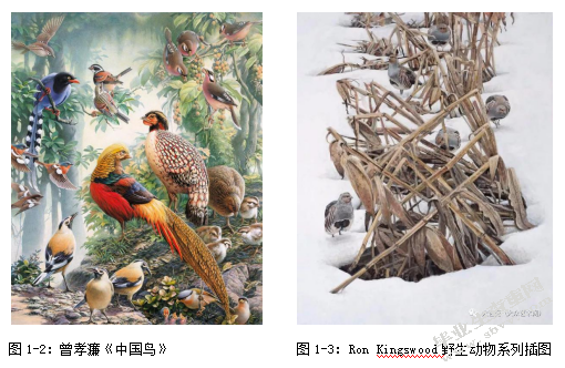大连湿地鸟类的科普插图表现方法研究