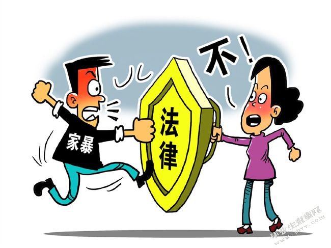 论我国家庭暴力防治法中的人身安全保护令制度
