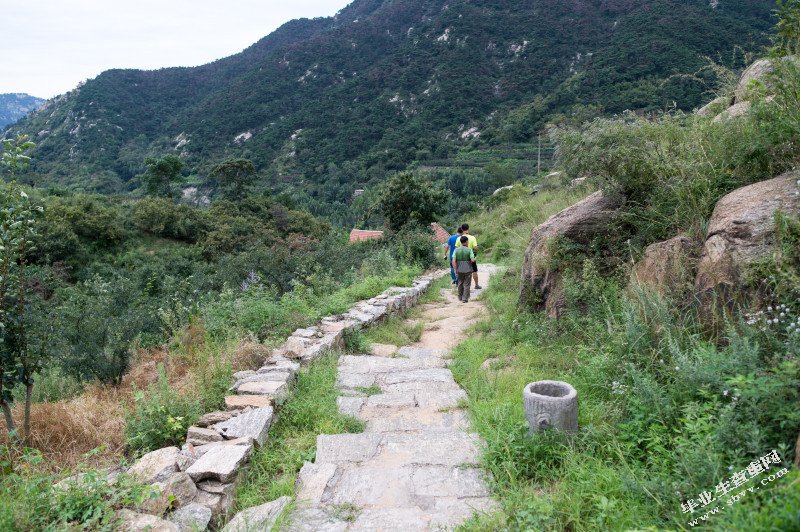 沂蒙山乡村小学生学习主动性研究