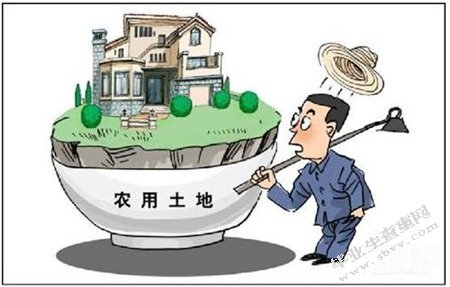 当前影视作品中农村权力结构关系如何