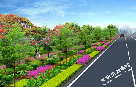 道路绿化带中双条杉天牛的综合防治