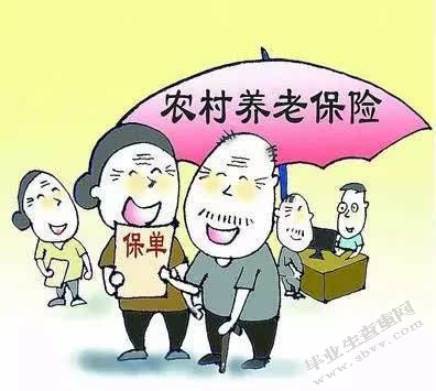 中国农民养老保障体系的研究