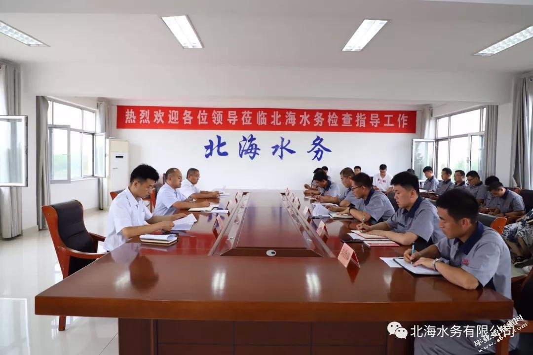 北海水务有限公司发展战略研究