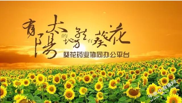 葵花药业营销渠道改进研究