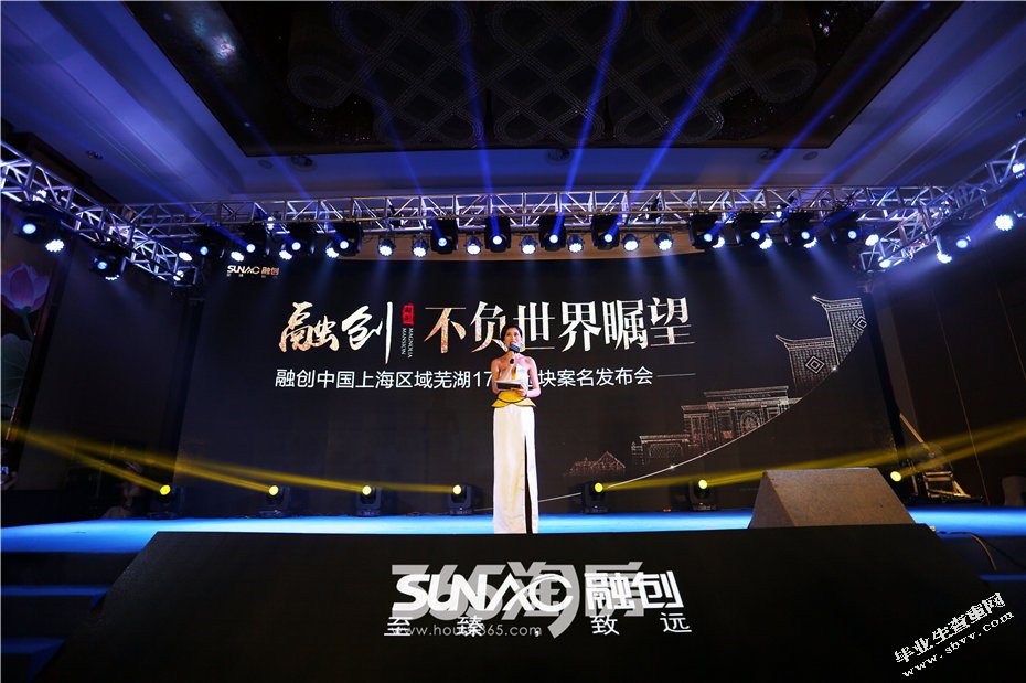 融创中国并购战略研究