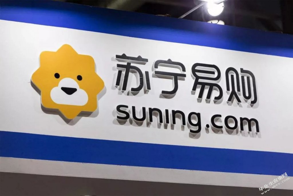 苏宁易购网络营销策略研究