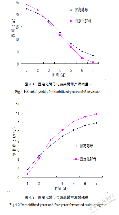 苹果酒加工工艺研究