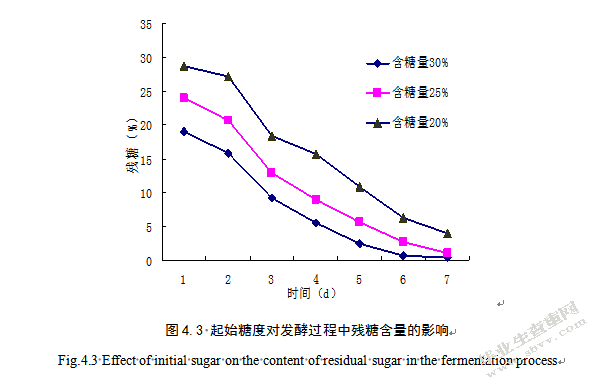 苹果酒加工工艺研究