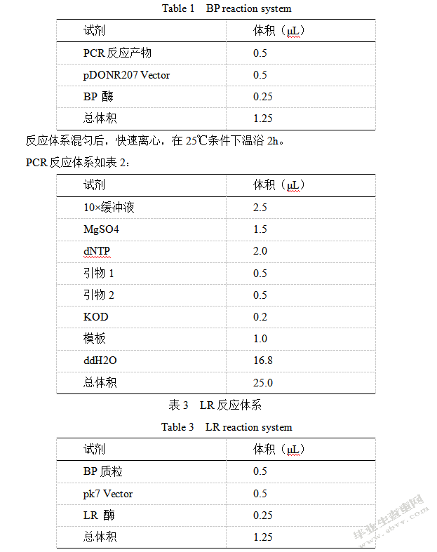 齐晨宇辣椒中硫氧还蛋白基因