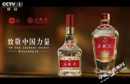 论央视广告的语言艺术