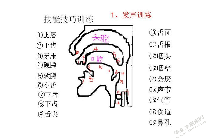 浅谈声乐的演唱技巧