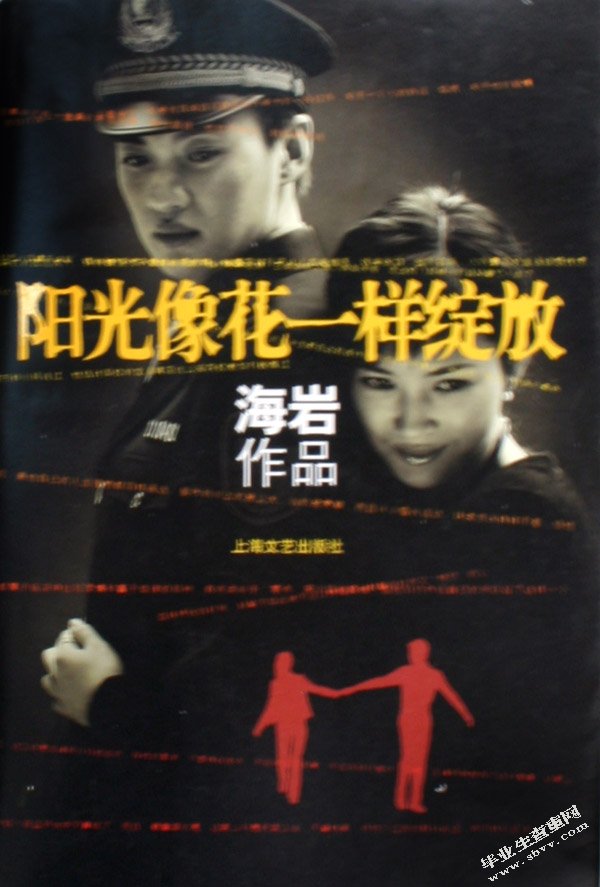论海岩小说的影视化