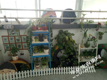 幼儿园班级墙面环境创设的现状研究