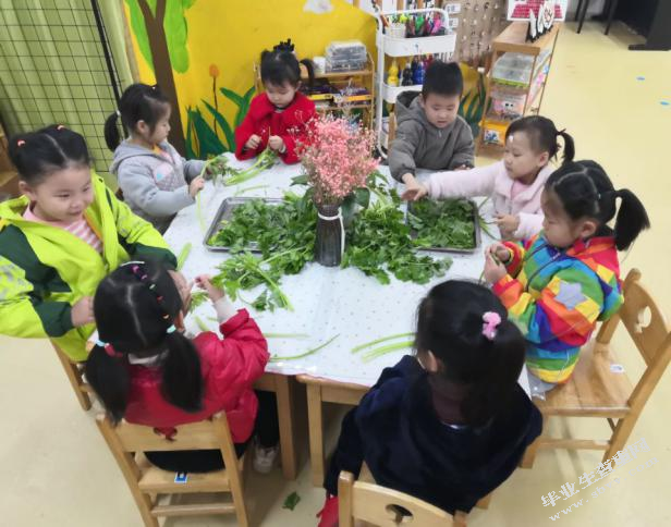 幼儿眼中的“好老师”-儿童视角下教师人格特质研究