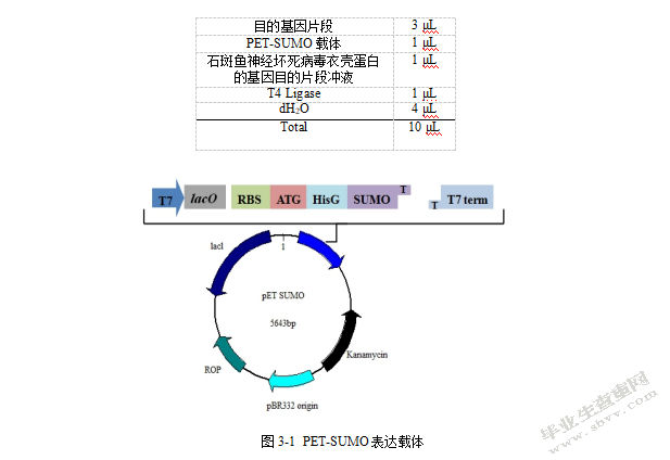 石斑鱼神经坏死病毒的抗原制备