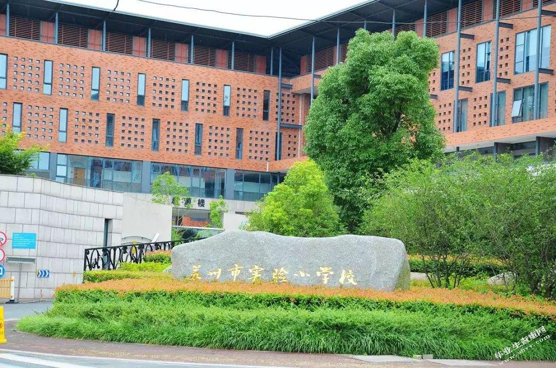 微课在小学语文课堂教学中应用的现状研究——以苏州H小学为例