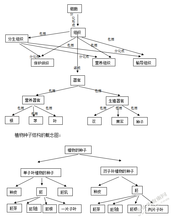 谈初中生物概念教学