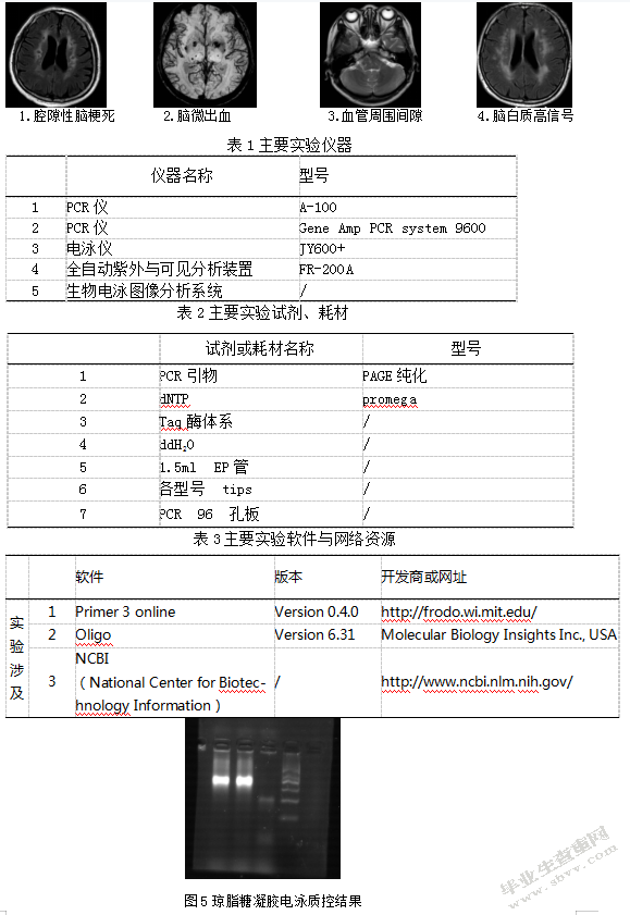 CLU的基因多态性与非痴呆型血管认知障碍相关性的研究