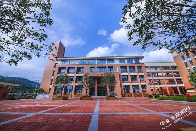 小学数学容积、体积单位教学中存在的问题及对策研究 ——以R区S