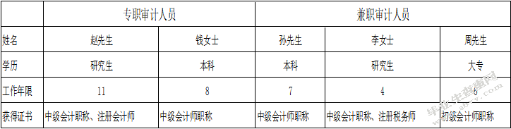 瓦房店华阳有限责任公司内部审计问题研究