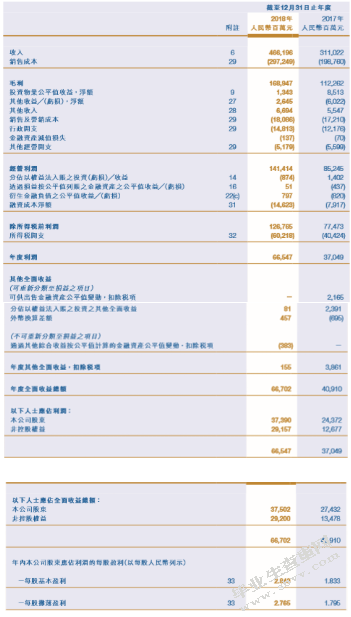 恒大集团2018年财务报表分析