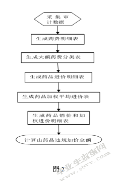 L市大数据医疗保险审计项目研究