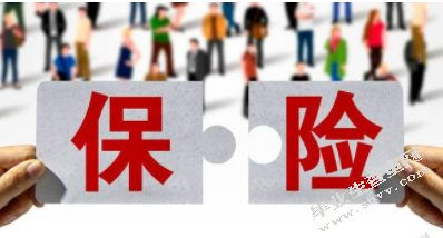  保险公司发展策略探析 ——以中国平安保险公司为例