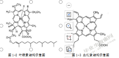  四羧基四苯基卟啉的合成及光电性能的研究