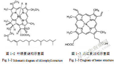 四羧基四苯基卟啉的合成及光电性能的研究