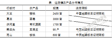   肥城边院公社的公用品牌建设分析