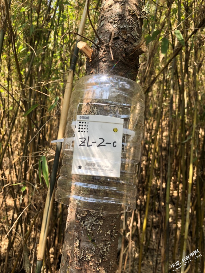 森林砍伐对大熊猫生境微气候的影响——以栗子坪国家级自然保护区