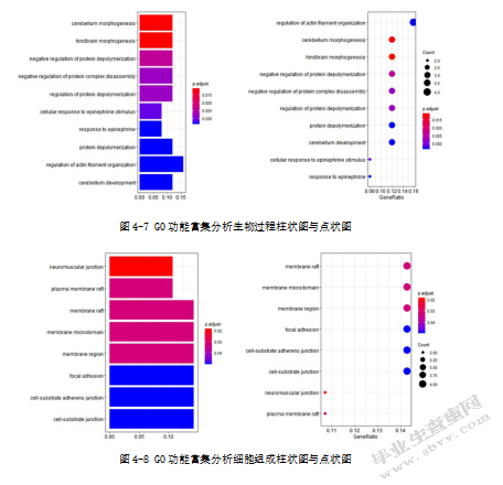 基于TARGET转录组数据的儿童骨肉瘤 预后预测与决策支持