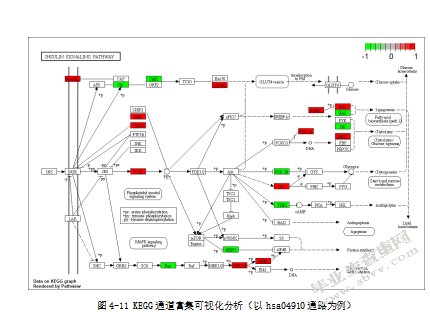 基于TARGET转录组数据的儿童骨肉瘤 预后预测与决策支持