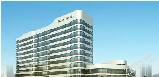 上市公司财务舞弊案例分析 ---以皖江物流为例