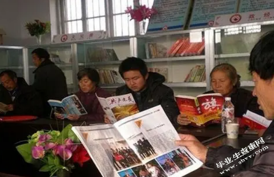 卢龙县农村公共文化服务体系建设研究