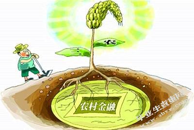中国农村金融体系的风险分析及防范研究