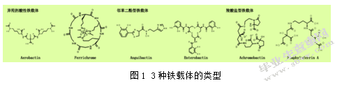 植物内生菌对苹果树腐烂病防治的研究进展