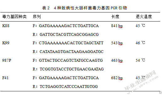引起仔猪腹泻的致病性大肠杆菌分离及鉴定