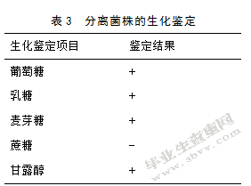 引起仔猪腹泻的致病性大肠杆菌分离及鉴定