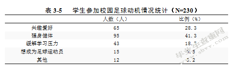 酒泉中学校园足球开展现状的调查与对策研究