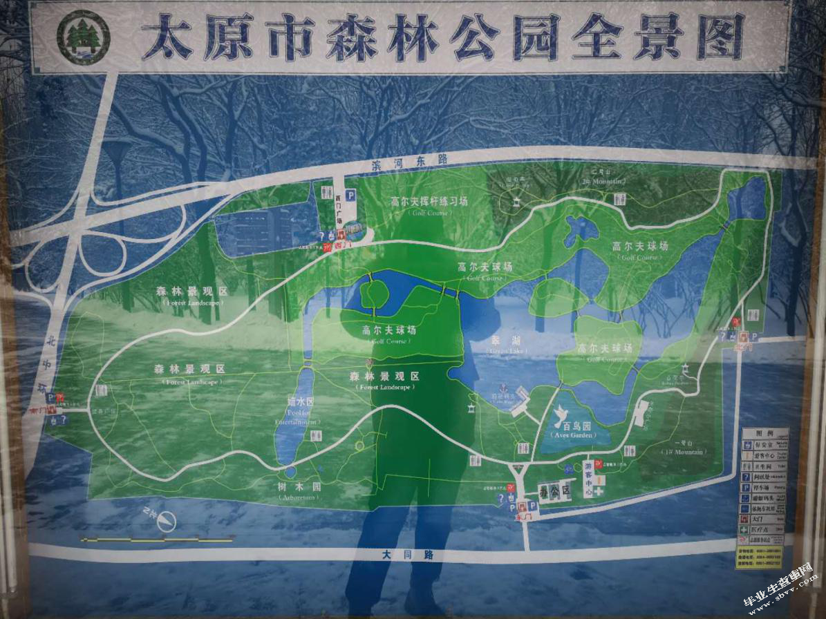 太原市森林公园药用植物资源调查研究