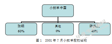 上市公司金字塔控股现象研究