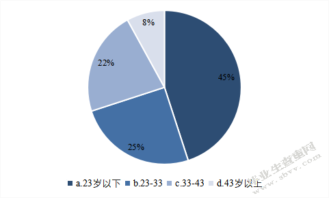ZARA中国品牌促销策略研究
