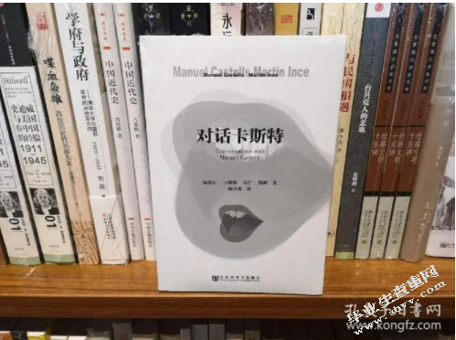 曼纽尔·卡斯特尔媒介思想研究